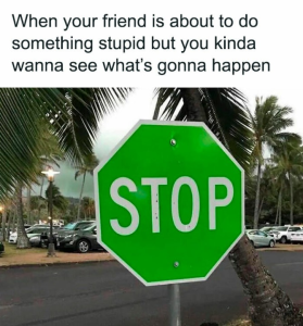 memes